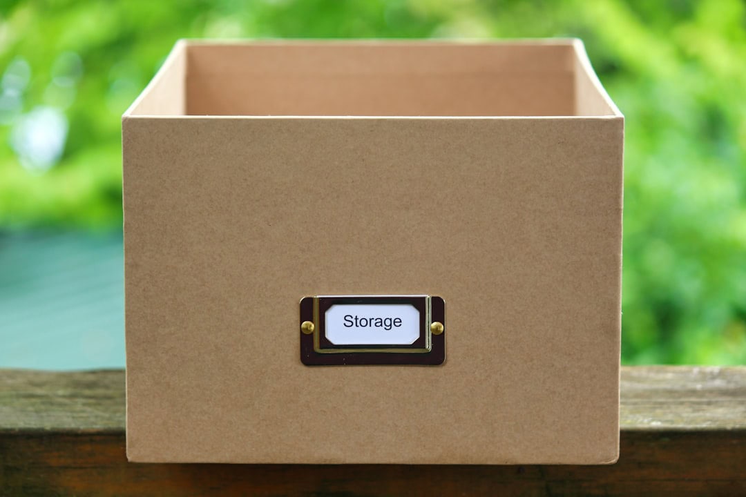 Photo Ballot box